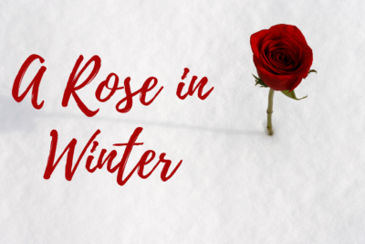Rose in Winter